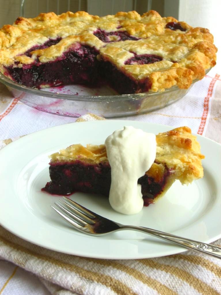 Fresh Blueberry Pie Willow Bird Baking